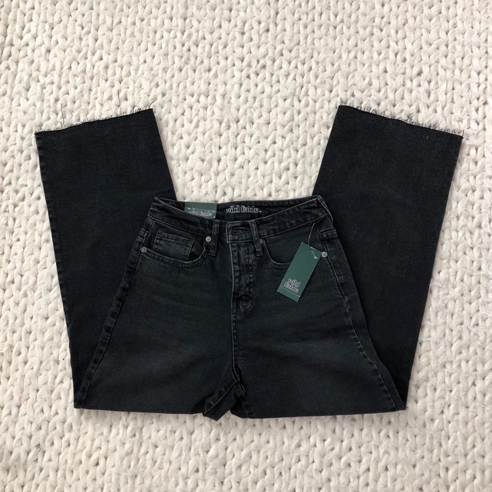 NWT Wild Fable High Waisted Skater Wide Leg Jeans